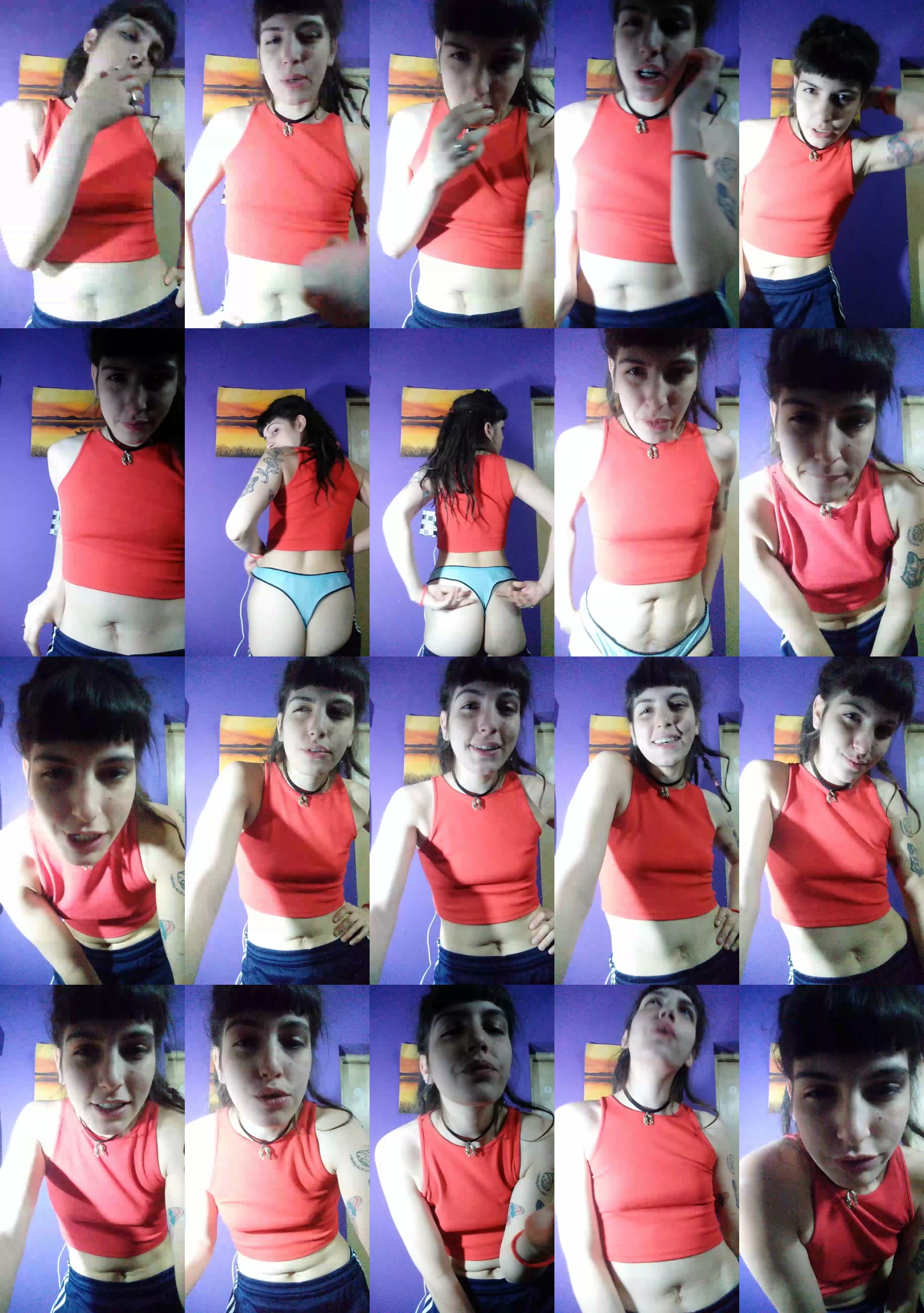 arlequinfun  14-07-2022